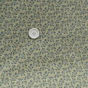 USA コットン michael miller fabrics ボタニカル 110cm 幅50cm単位 はかり売り 手芸 シーチング