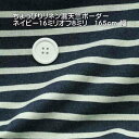 ニット生地 ボーダー フロスト 生オフ インディゴ 165cm幅ワンピース カットソー tシャツ 50cm単位 オーダーカット 布 生地 レビュー大人 きれいめ...