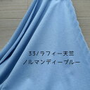 ニット生地 綿 ラフィー 天竺 155cm 幅 ひんやり色 ノルマンディー ブルー 50cm単位価格 日本製 レディス メンズ 子供服 tシャツ カットソー 涼...