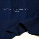 ニット生地 20/ 天竺ニット ロイヤル ネイビー 170cm幅 日本製 50cm単位の価格 tシャツ カットソー ワンピース レディス メンズ 子供服 手芸 ...