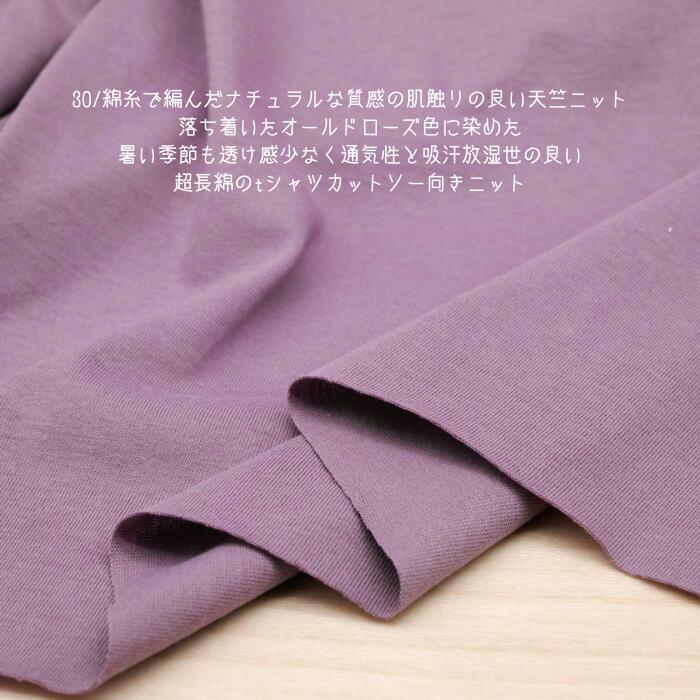 楽天市場】30 天竺ニットの通販