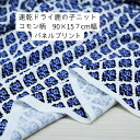 1000円ポッキリ ドライ 鹿の子 コモン柄 ブルー 157m幅 縦91cm の パネルプリント 日本製 送料無料 91cm単位の価格 レディスのMサイズ半袖 ...