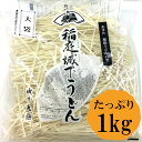 秋田 稲庭城下うどん 大袋 1キロ 稲