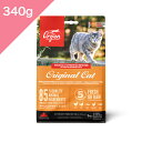 ◆クーポン有◆賞味期限2026/4/17 以降【猫用】 ORIJEN オリジン オリジナル キャット 【340g】 新鮮 鶏肉 七面鳥 魚 ORIGINAL Cat 正規品 プレミアムフード