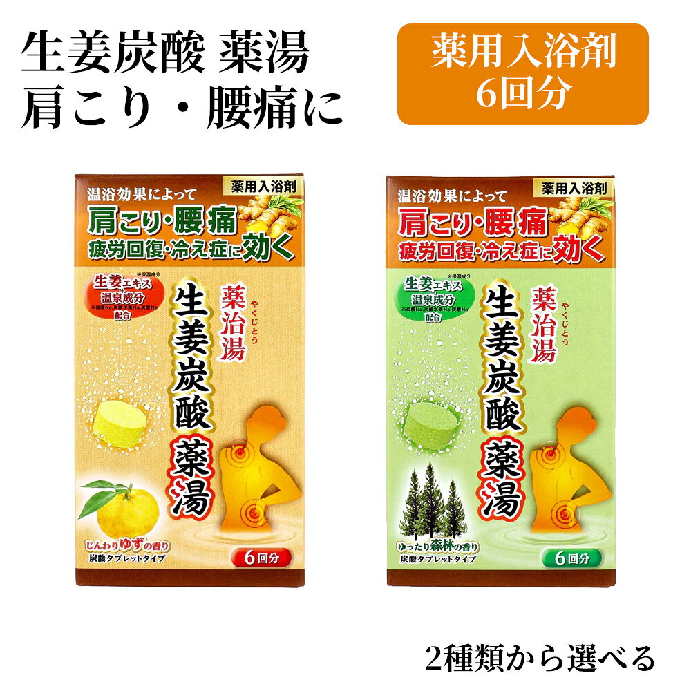 薬用 入浴剤 生姜炭酸 薬湯 6回分 選べる2種 肩こり 腰痛 冷え性 疲労回復 炭酸タブレット 温浴効果 医薬部外品 温活 バスパウダー