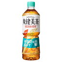 【2ケース】爽健美茶 健康素材の麦茶 600mlPET(24本入)