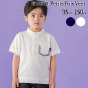 【半額】BeBe Petits Pois Vert 【お揃い】カノコ + 千鳥格子 ポイント ポロシャツ (95~150cm) 子供服 男の子 キッズ ギフト ...