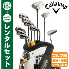 https://thumbnail.image.rakuten.co.jp/@0_mall/buzzgolf/cabinet/shohin/rental/worbird2016_01d.jpg