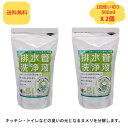 『安値に挑戦・お得な2個セット』スリーケー 排水管洗浄液 500ml x 2個 使い切り 1回用 パイプクリーナー 快潔バイオシリーズ 洗浄剤 排水口 掃除用品 台所 洗面台 汚れ落とし ぬめり ヌメリ 業務用 家庭用 排水溝 臭い 消臭 配管洗浄剤 排水溝クリーナー キッチン