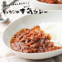 リュウジの本気カレー(6食セット)