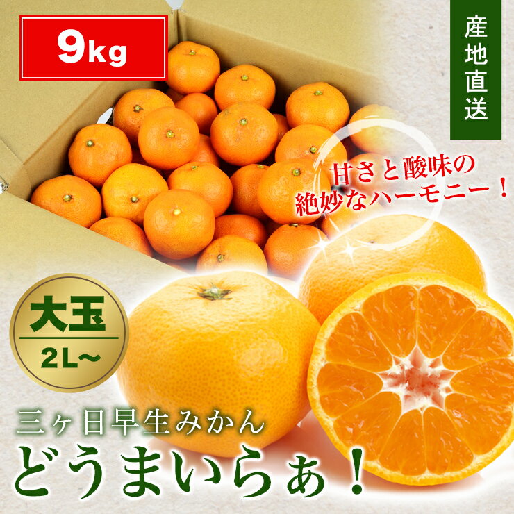 三ヶ日 早生 みかん 9kg どうまいらぁ！ 大玉 2L～ みかん 送料無料 2L ～ 三ヶ日みかん みかん 産地直送 ミカン 蜜柑 9キロ 静岡県 大粒 大玉 果物 フルーツ 自宅用 美味しい 冬ギフト ギフト プレゼント 三ケ日 お返し 贈り物 陽だまりファーム