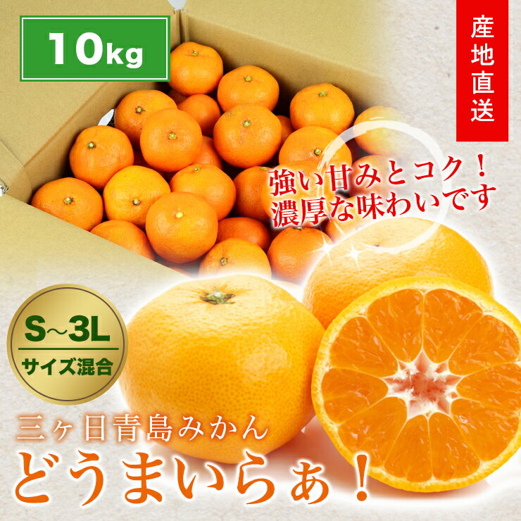 三ヶ日 青島 みかん 10kg 送料無料 サイズ混合 どうまいらぁ！ 小粒 大粒 S 〜 3L 三ヶ日みかん 産地直送 農家直送 ミカン 蜜柑 10キロ 静岡県 大玉 果物 フルーツ 自宅用 美味しい 冬ギフト ギフト プレゼント お返し 贈り物 御歳暮 お歳暮 贈答 陽だまりファーム