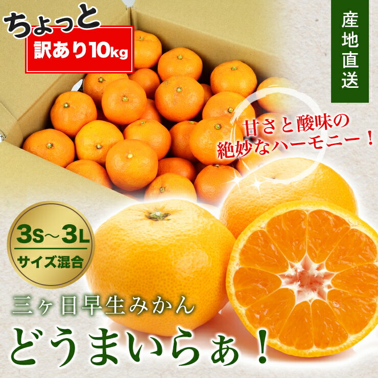 【 ちょっと 訳あり 】 三ヶ日 早生 みかん 10kg 送料無料 訳あり どうまいらぁ！ 3S 〜 3L サイズ不揃い 三ヶ日みかん 訳ありみかん 産地直送 農家直送 ミカン 蜜柑 10キロ 静岡県 小粒 小玉 大粒 大玉 果物 フルーツ 自宅用 三ケ日 美味しい 家庭用 訳アリ 小さめ 静岡 S Lのサムネイル
