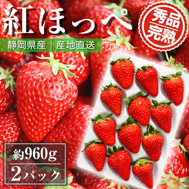 贈答用 朝採れ いちご 紅ほっぺ 約 960g ( 24 ~ 30玉入り ) 農家 直送 静岡 苺 イチゴ 取り寄せ 農家直送 静岡県 果物 フルーツ 自宅用 美味しい 家庭用 産地直送 高糖度 大きい 甘い お取り寄せ グルメ 国産 果物 プレゼント ギフト お歳暮 お年賀 朝採り バレンタイン