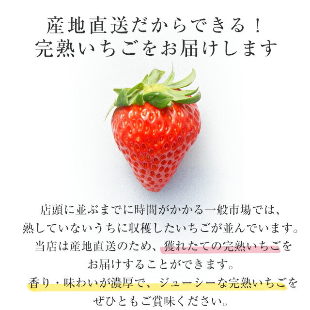 ��� ī�Τ� ������ �Ȥۤä� �� 550g ( 10 ~ 16������ ) ���� ľ�� �Ų� �� ������ ���� ����ľ�� �Ų��� ��ʪ �ե롼�� ������ ��̣���� ������ ����ľ�� ������ �礭�� �Ť� ������ ����� �礭�� �� ��ʪ ī�Τ� �ץ쥼��� ���ե� ������ ��ǯ�� �Х�󥿥���