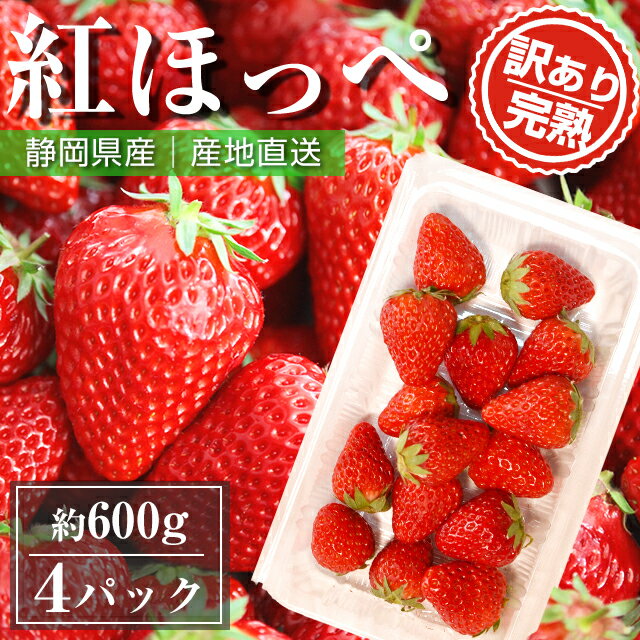 訳あり 朝採れ いちご 紅ほっぺ 約 600g ( 36 ~ 60玉入り ) 農家 直送 静岡 苺 イチゴ 取り寄せ 農家直送 静岡県 果物 フルーツ 自宅用 美味しい 家庭用 産地直送 高糖度 大きい 甘い お取り寄せ グルメ 大きめ 国産 果物 フルーツ 朝採り プレゼント ギフト お歳暮 お年賀