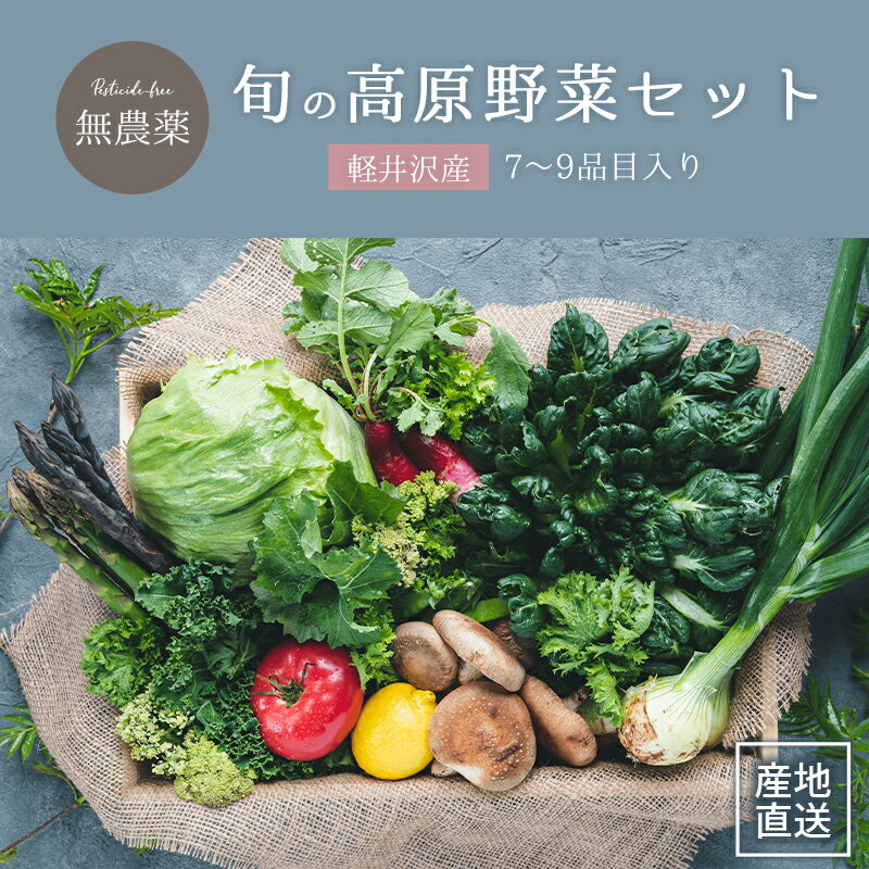 【 7～9品目入り 】軽井沢産 無農薬 