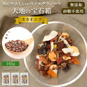 【カカオニブ 無添加 砂糖不使用 グラノーラ 】165g ( 55g × 3袋セット ) 大地の宝石箱 オートミール(ラトビア産) 乾燥果実 ナッツ アーモンド くるみ ココナッツ オイル ピスタチオ メープルシロップ 保存料 着色料 糖質制限 ダイエット糖質オフ 高たんぱく プレゼント
