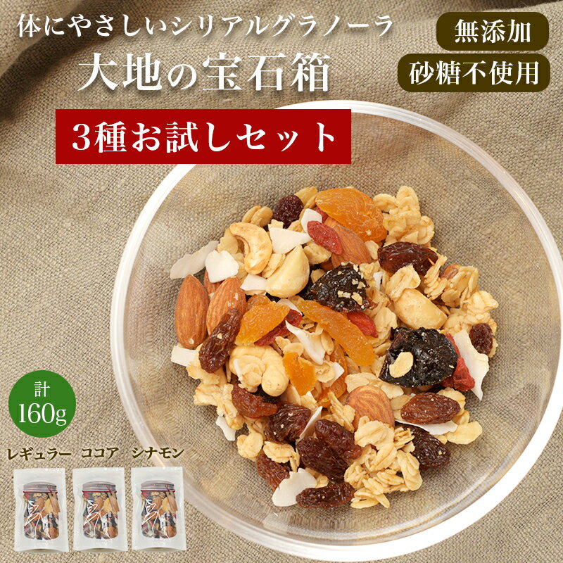 【 お試し 3種 ( レギュラー ココア シナモン ) セット 計160g 】 無添加 砂糖不使用 グラノーラ 大地の宝石箱 天然素材 シリアル 食べ比べ オー...