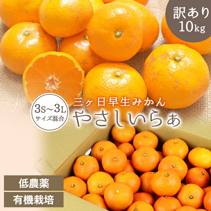 【 訳あり 】 減農薬 有機栽培 三ヶ日 早生 みかん 10kg 送料無料 訳あり やさしいらぁ 3S 〜 3L サイズ不揃い 位田 みかん園 オーガニック 特別栽培 有機肥料 低農薬 三ヶ日みかん 有機みかん 産地直送 ミカン 蜜柑 10キロ 静岡県 小粒 大粒 果物 フルーツ 自宅用 美味しいのサムネイル