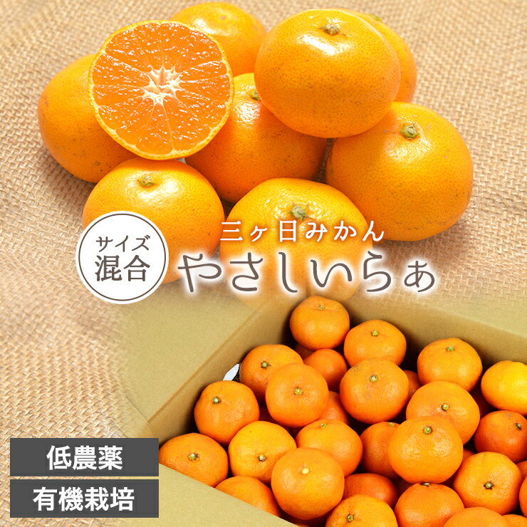 秀品 減農薬 有機栽培 三ヶ日 みかん 8kg 送料無料 やさしいらぁ サイズ不揃い 位田 みかん園 特別栽培 オーガニック 有機肥料 低農薬 贈答用 ギフト 贈答 三ヶ日みかん 有機みかん 産地直送 早生 青島 ミカン 蜜柑 8キロ 静岡県 小粒 フルーツ 美味しい プレゼント 良品のサムネイル