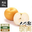 【予約】秀品 大門梨 低農薬 有機栽培 新高 10kg 富山県産 朝採り 梨 完熟梨 赤土栽培 完熟 樹熟 呉羽梨 フルーツ 梨 ナシ なし 果物 美味しい おいしい 甘い 新鮮 富山県 富山 朝どり 自宅用 家庭用 産地直送 農家直送 果物 自宅用 美味しい 冬 10kg箱 10キロ箱 ギフト