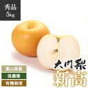 【予約】秀品 大門梨 低農薬 有機栽培 新高 5kg 富山県産 朝採り 梨 完熟梨 赤土栽培 完熟 樹熟 呉羽梨 フルーツ 梨 ナシ なし 果物 美味しい おいしい 甘い 新鮮 富山県 富山 朝どり 自宅用 家庭用 産地直送 農家直送 果物 自宅用 美味しい 冬 5kg箱 5キロ箱 ギフト