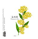 buzzjuice 金木犀フレーバー 60ml バズジュース キンモクセイ リキッド Fragrant olive 花 電子タバコ vape べイプ 癒し リラ...