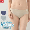 【最大500円OFFクーポン】BVD レディース 綿100% 涼軽 さらり スタンダードショーツ 吸水速乾 カノコ 鹿の子 天然素材 ムレ対策 女性 下着 パンツ アンダーウェア (M/L) BLRC12