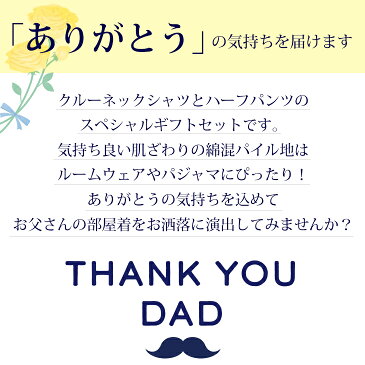 【父の日ギフト】送料無料！BVD パイル地リラクシングウェア上下セット 部屋着 ルームウェア パジャマ Tシャツ ハーフパンツ 散歩 お父さん パパ プレゼント 選べる ボーダー 無地 パイル GW