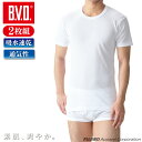 2枚組 B.V.D. カノコメッシュ 丸首半袖Tシャツ 吸水速乾 クールビズ メンズインナー 男性 下着 ビジネス アンダーウェア
