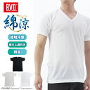 【最大500円OFFクーポン配布】B.V.D. 綿涼 綿100% 接触冷感メッシュ V首半袖Tシャツ インナー 涼感 メンズ ムレ 吸汗速乾 吸水速乾 通気性 梅雨 下着 肌着