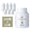ロンブルクス ゴールド 赤ミミズLR末3 12個セット 【JAN:4523516116967】