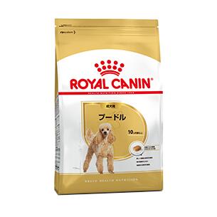 ドッグフード ロイヤルカナン　プードル 成犬用 0.8kgBNH 800g【コンビニ受取対応商品】