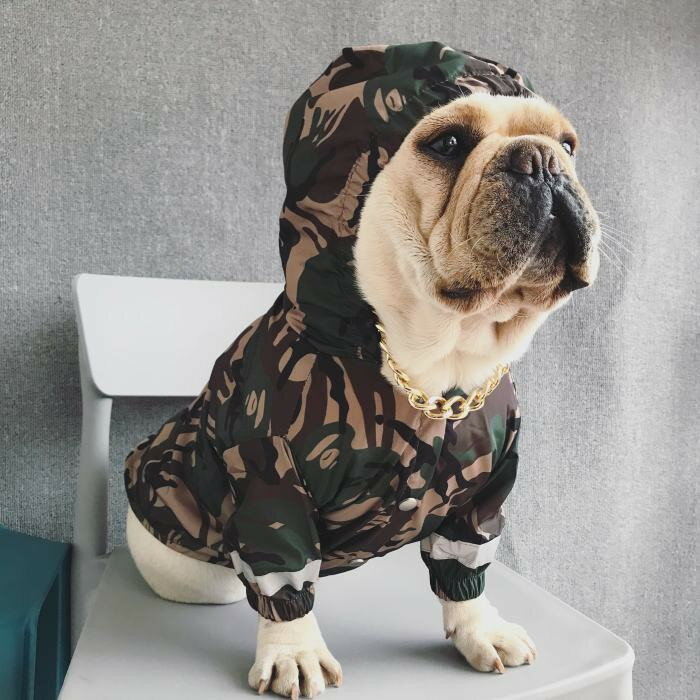 【SALE】フレブル フレンチブルドッグ レインコート 雨 犬 迷彩 服 防水 迷彩柄 犬...