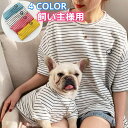 愛犬とのお揃い服 半袖Tシャツ ペアルック オーナー 飼い主様用 犬と飼い主様 ペアルックできる フレンチブルドック 服 ボーダー ストライプ柄 オーナーズ グ...