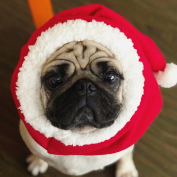 犬 ペット クリスマス もこもこ サンタさん 帽子 サンタクロース ポンポン付き 暖かい ネックウォーマー フレンチブルドッグ フレブル 小型犬 中型犬 大型犬 レッド 赤 KM135G