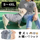 愛犬とお揃いTシャツ ペアルック ペアコーデ オソロ ボーダーTシャツ スマイル刺繍入り フレブル フレンチブルドッグ ブヒ 小型犬 中型犬 大型犬 チワワ トイプードル 半袖 Tシャツ パグ ニコちゃん ペットウェア ペット服 犬 服 洋服 カジュアル おしゃれ KM390TS