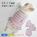 フレンチブルドック 犬服 ワンピース キャミソール タンクトップ かわいい おしゃれ ボーダー ストタイプ 春 夏 秋 冬 柴犬 ドッグウェア フレブル 多頭飼いにおすすめ