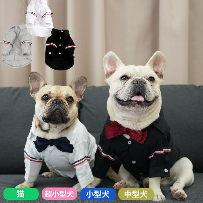 フレンチブルドッグ 服 ペットウェア シャツ 上品 高級感 無地 フレブル 小型犬 中型犬 無地 ボタンシャツ 長袖シャツ ブラウス 襟付き 犬服 ペット ドッグ 超小型犬 犬用品 DOG dog グレーKM481TS