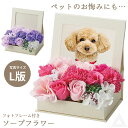 送料無料 プレゼント 花 ソープフラワー 写真立て シャボンフラワーフォトフレームBOX お悔み お供え 卒業式 ブーケ 花束 ソープ 記念日 結婚 誕生日 母...