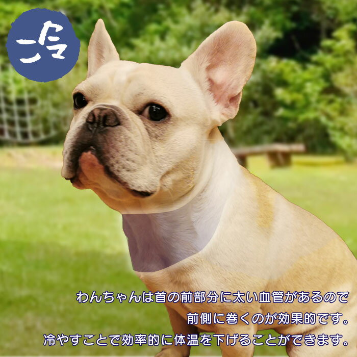 【ポイント5倍】 【送料無料】犬 クールネック ひんやり グッズ 保冷剤 首 ペット 熱中症対策 クールスヌード 犬用 フレブル フレンチブルドッグ 中型犬 大型犬 夏 KM500G