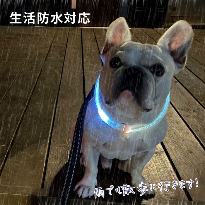 【2点目半額クーポン】【ポイント5倍】 犬 LEDライト光る首輪 USB充電 生活防水 長さ調整可能 首輪 犬用 ペット カラー ペット用品 軽量 ドッグ用品 フレンチブルドック 大型犬 中型犬 小型犬 35cm/50cm/70cm 発光 【イチオシ！】KM525G