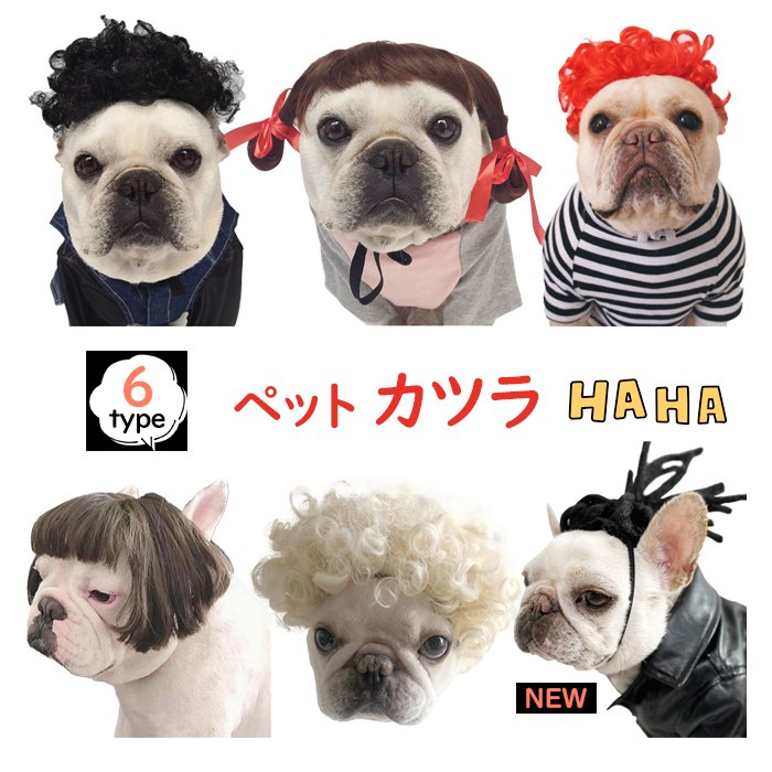 【ポイント10倍】 犬 猫 ハロウィン カツラ コスプレ パーマ アフロ おもしろグッズ 変装 フレンチブルドッグ ペット服 服 可愛い 猫服 犬用 面白い コスチューム 小型犬 中型犬 大型犬 変身服 出掛け 撮影道具 KM578G