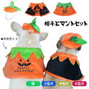 犬 ハロウィン 服 犬服 コスプレ かぼちゃ コウモリ 帽子 マント 変装 2点セット コスチューム フレンチブルドッグ フレブル おもしろグッズ 仮装 変装 秋 冬 プレゼント KM727G