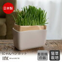 猫草 INK にゃんベジ ポット 犬猫食べる草 ペットの食べる草 日本製 猫草栽培セット 有田焼 猫用おやつ 猫草栽培キット 付属の鉢 専用鉢 ねこ 毛玉 猫草...