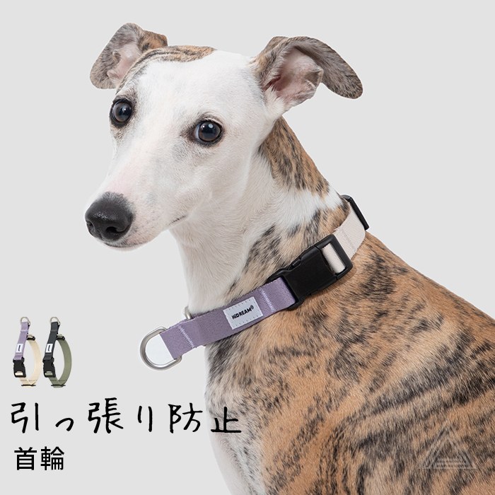 Rakuten - 新作 犬 首輪 引っ張り防止 しつけ用 トレーニング首輪 調整可能 フレブル フレンチブルドッグ 引っ張り癖 小型犬 中型犬 犬用 散歩 丈夫 軽量 シンプル チワワ トイプードル マルチーズ 【HiDREAM】【HD029005】