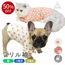 【楽天スーパーSALE 50%OFF】犬 服 子犬 フレンチブルドッグ パピー 春 秋 小型犬 中型犬 かわいい オシャレ トイプードル チワワ 柴犬 ダックス ポメラニアン ヨーキー シーズー マルチーズ お買い物マラソン 1000円 KM343TS