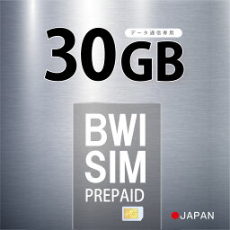 【物理SIM/ネコポスゆうパケット発送】【在庫限りのセール！】30GB プリペイドSIM カード 使い捨てSIM データ通信sim Softbank ソフトバンク 回線 【利用期限:2024/06/30】　4G/LTE対応 長期利用 日本 国内利用