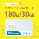  30GB/180日 プリペイドSIMカード使い捨てSIM データ通信専用 4G/LTE対応 短期利用 大容量 日本 国内用 docomo MVNO